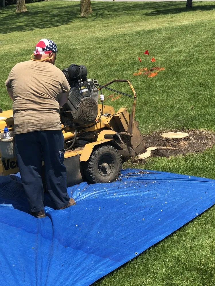 Affordable landscaping services near you in Eden, WI by Painless Stump Grinding