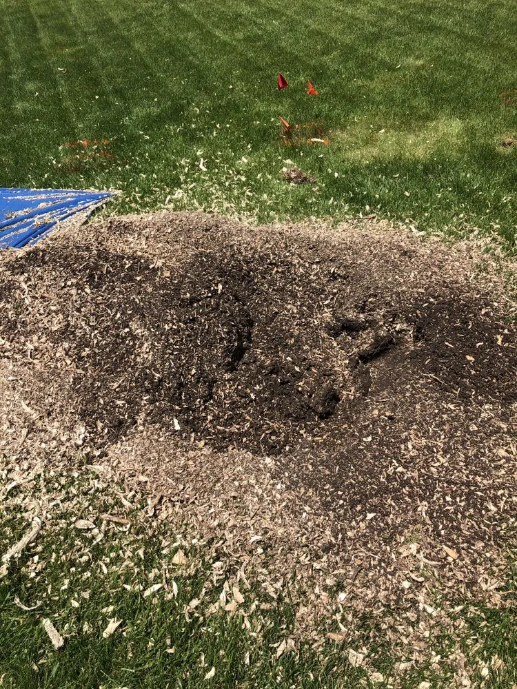 Trusted landscape installation for year-round maintenance in Eden, WI by Painless Stump Grinding