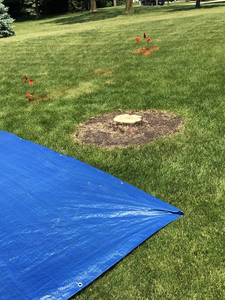 Reliable residential landscaping near you in Eden, WI by Painless Stump Grinding