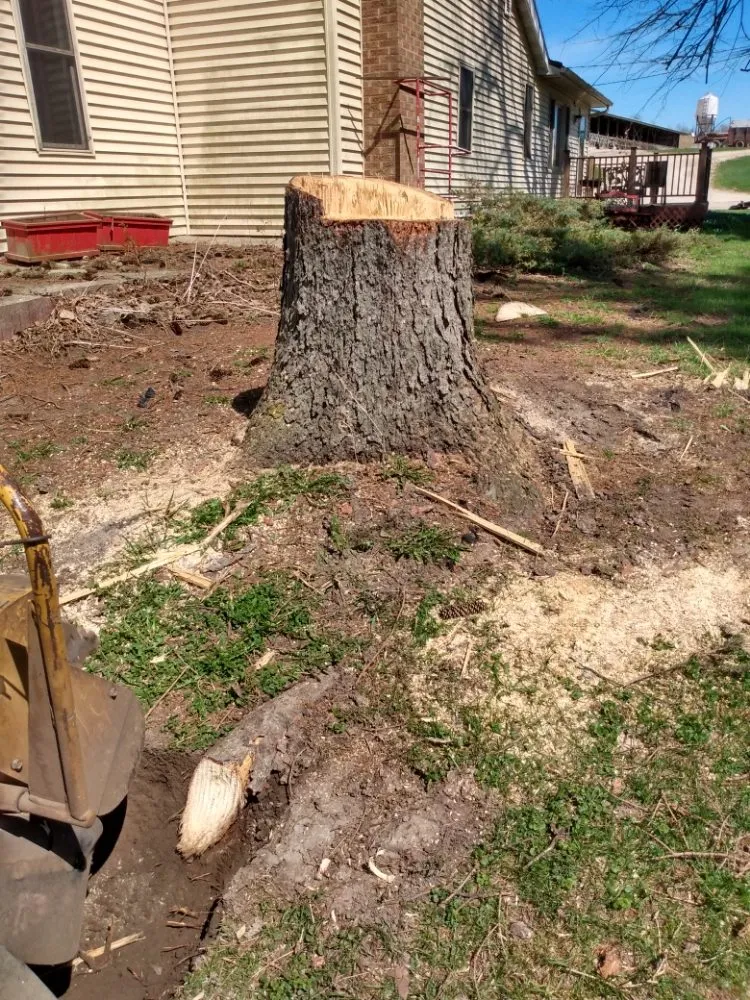Custom outdoor landscaping for beautiful yards in Eden, WI by Painless Stump Grinding