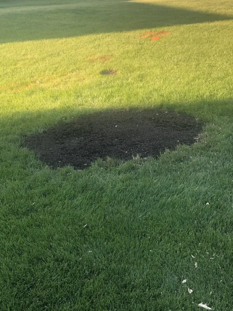 Affordable lawn care service in Eden, WI by Painless Stump Grinding