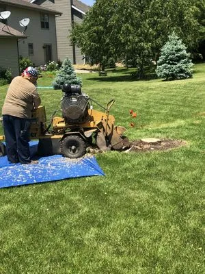 Painless Stump Grinding