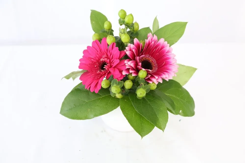 Local landscaping services in Astoria, NY by Paint By Flowers - By Marina Costas