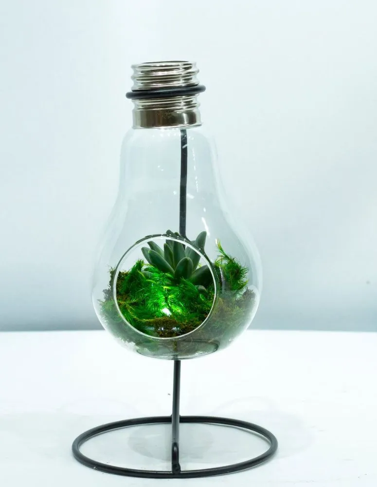 Local outdoor landscaping near you across Astoria, NY - Paint By Flowers - By Marina Costas