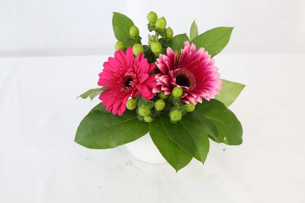 Professional yard cleanup service for year-round maintenance across Astoria, NY - Paint By Flowers - By Marina Costas