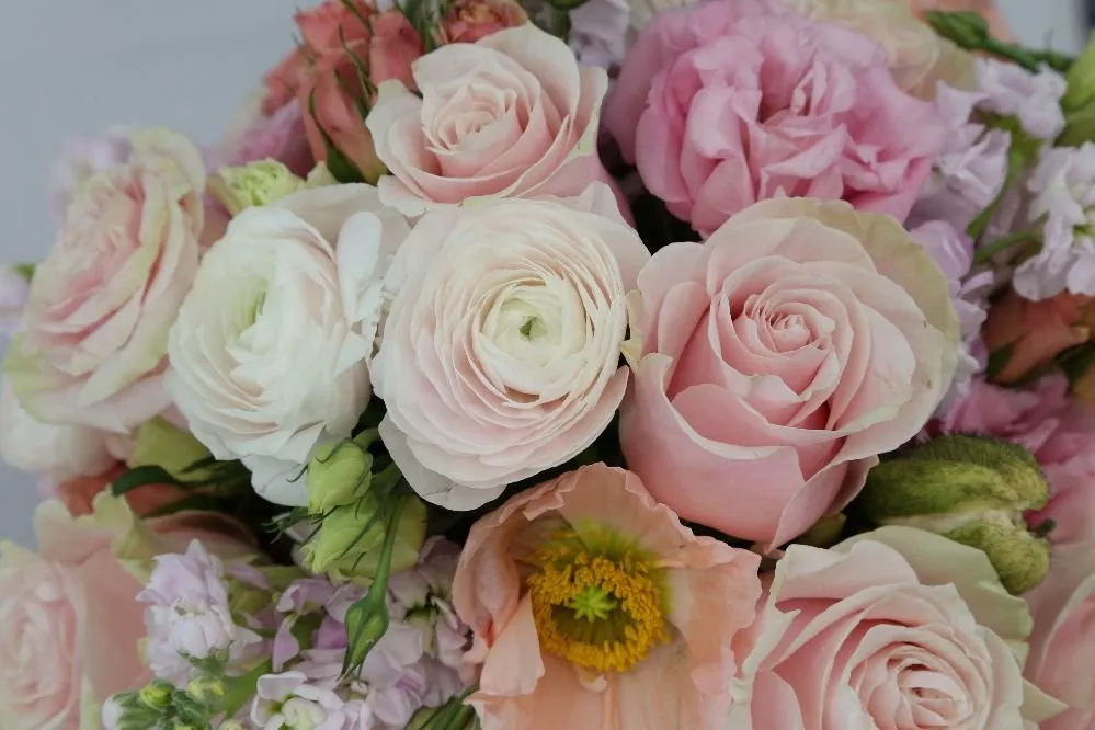 Professional lawn mowing service in Astoria, NY - Paint By Flowers - By Marina Costas