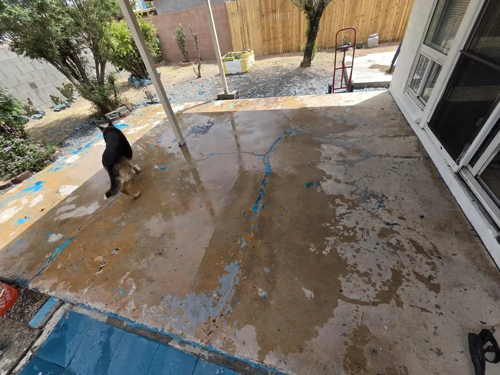 Custom yard cleanup service in Tucson, AZ - Paint First Handyman Services