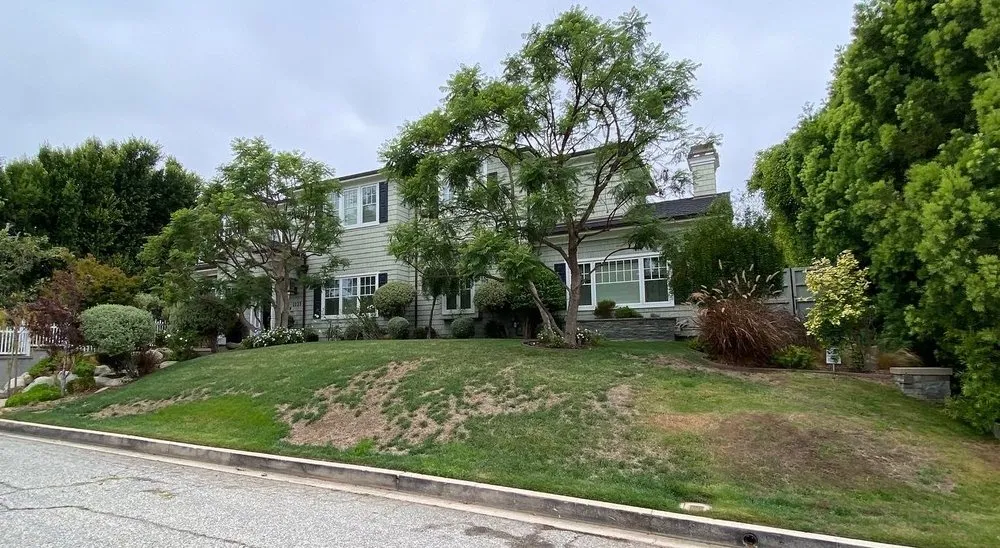 Affordable lawn care service in Valencia, CA by Paint In The Grass