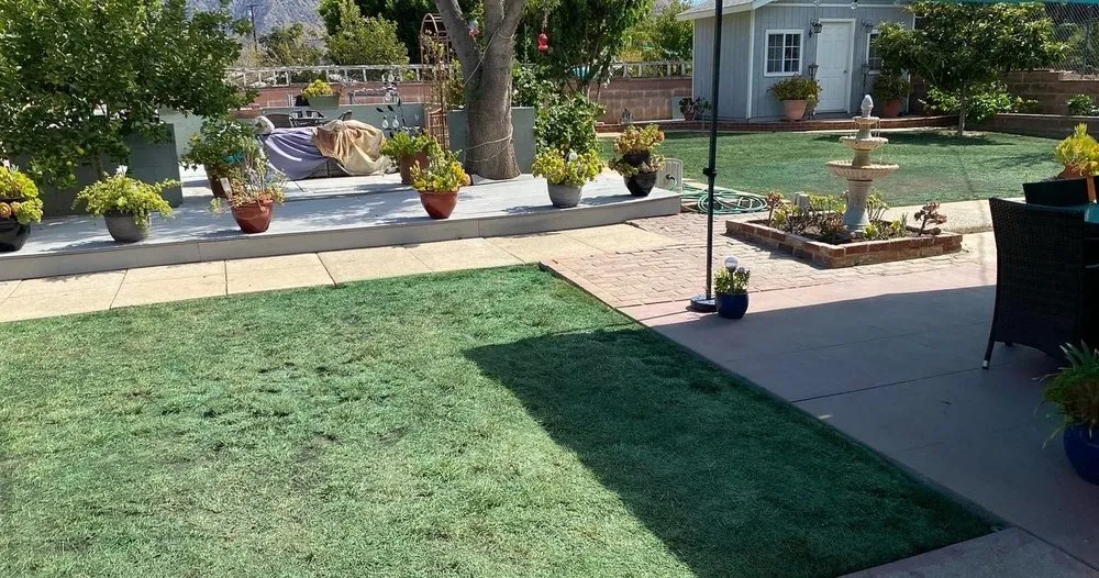 Top-rated landscape design for beautiful yards in Valencia, CA by Paint In The Grass