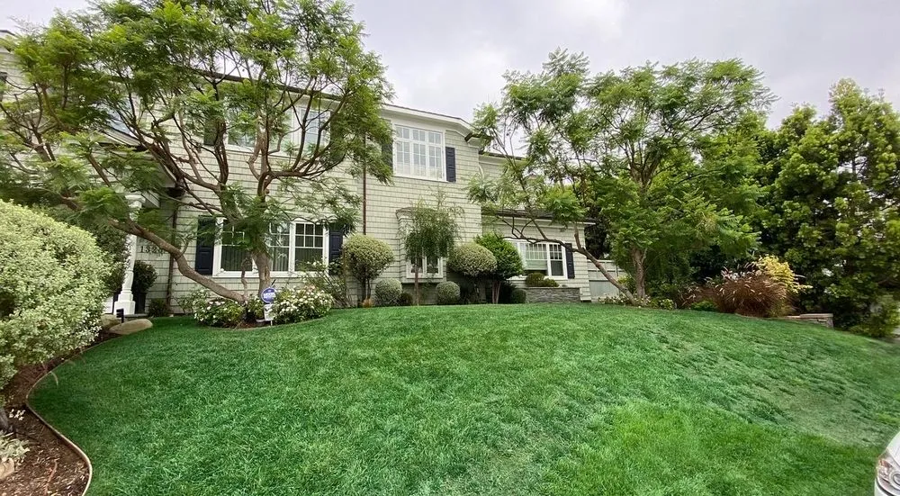 Local landscape design for residential properties across Valencia, CA - Paint In The Grass