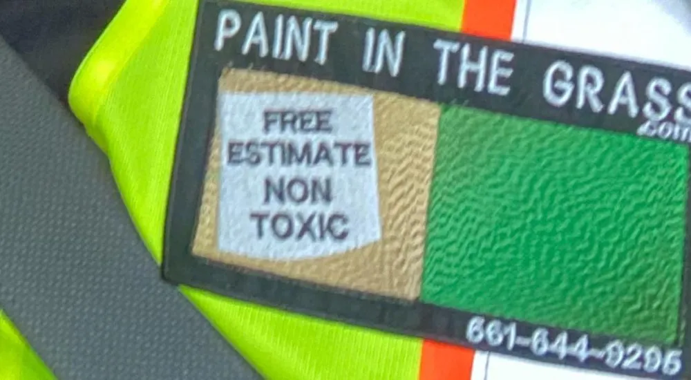 Top-rated residential landscaping experts serving Valencia, CA - Paint In The Grass