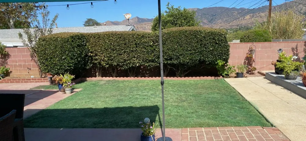 Custom landscape design for beautiful yards in Valencia, CA by Paint In The Grass