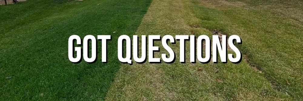 Local yard maintenance experts serving Ypsilanti, MI - Paint My Lawn