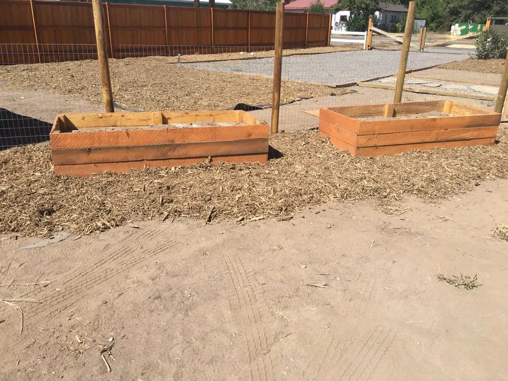 Affordable lawn care service in Red River, NM - Paint Stain Demo