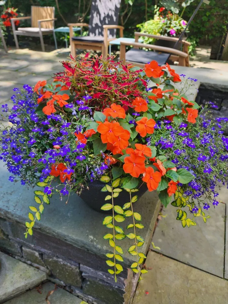 Reliable landscape installation near you in Epping, NH by Painted Fern Gardening