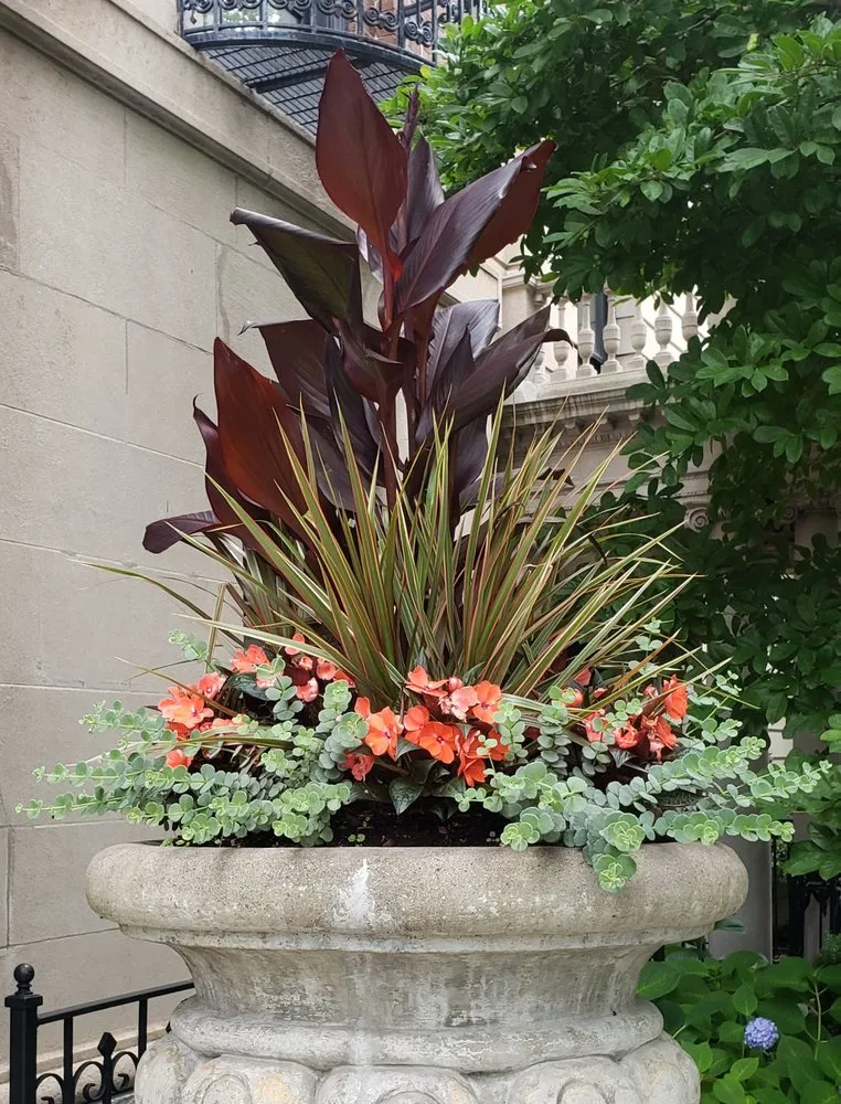 Expert landscaping services for residential properties across Epping, NH - Painted Fern Gardening