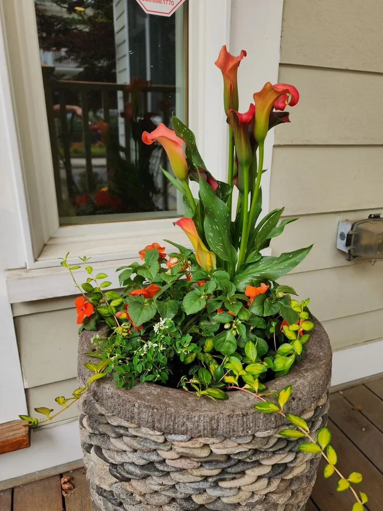 Local landscape design in Epping, NH by Painted Fern Gardening