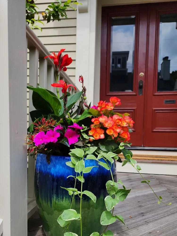 Affordable yard cleanup service experts serving Epping, NH - Painted Fern Gardening