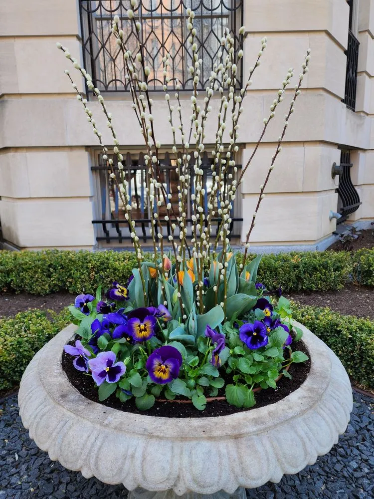 Local lawn mowing service experts serving Epping, NH - Painted Fern Gardening