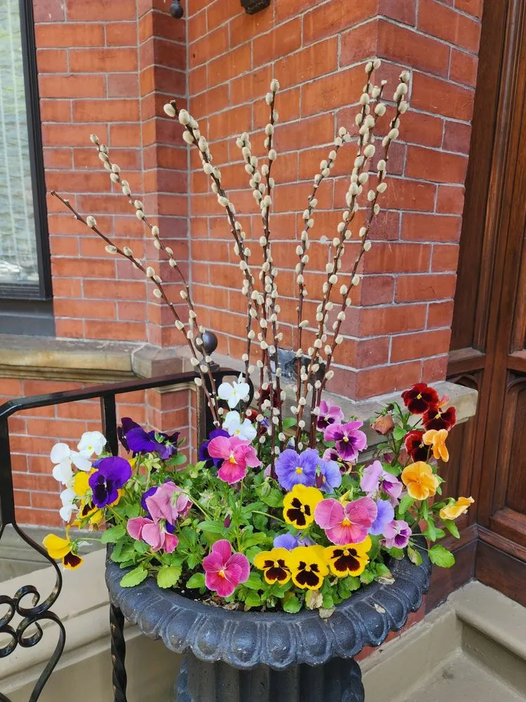 Local yard cleanup service experts serving Epping, NH - Painted Fern Gardening