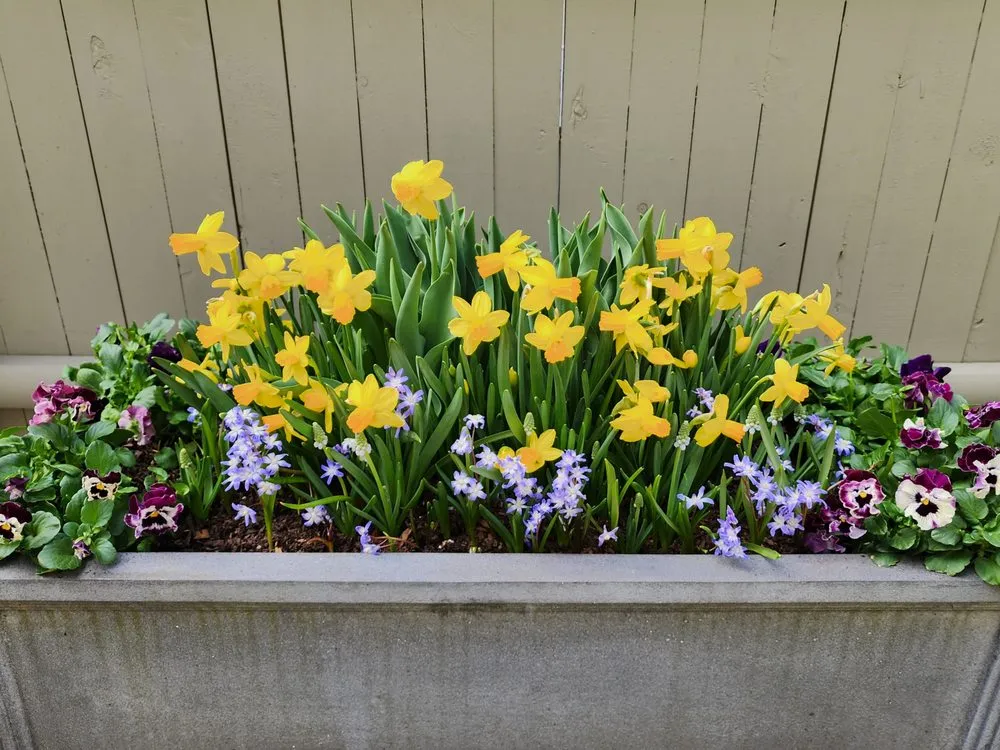 Affordable outdoor landscaping for year-round maintenance across Epping, NH - Painted Fern Gardening