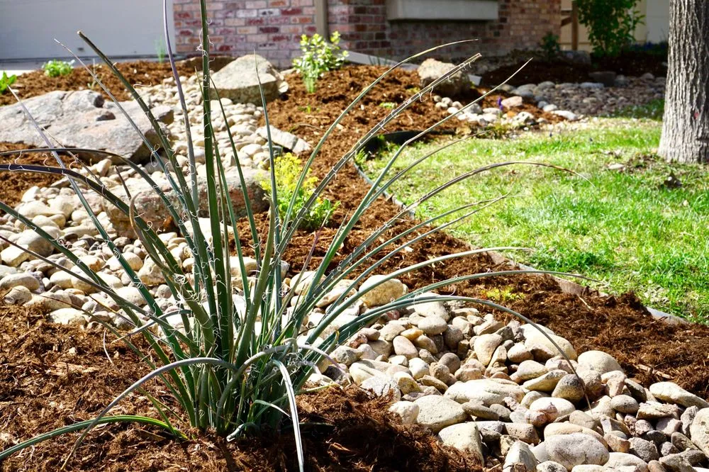 Top-rated yard cleanup service experts serving Longmont, CO - Painted Plains