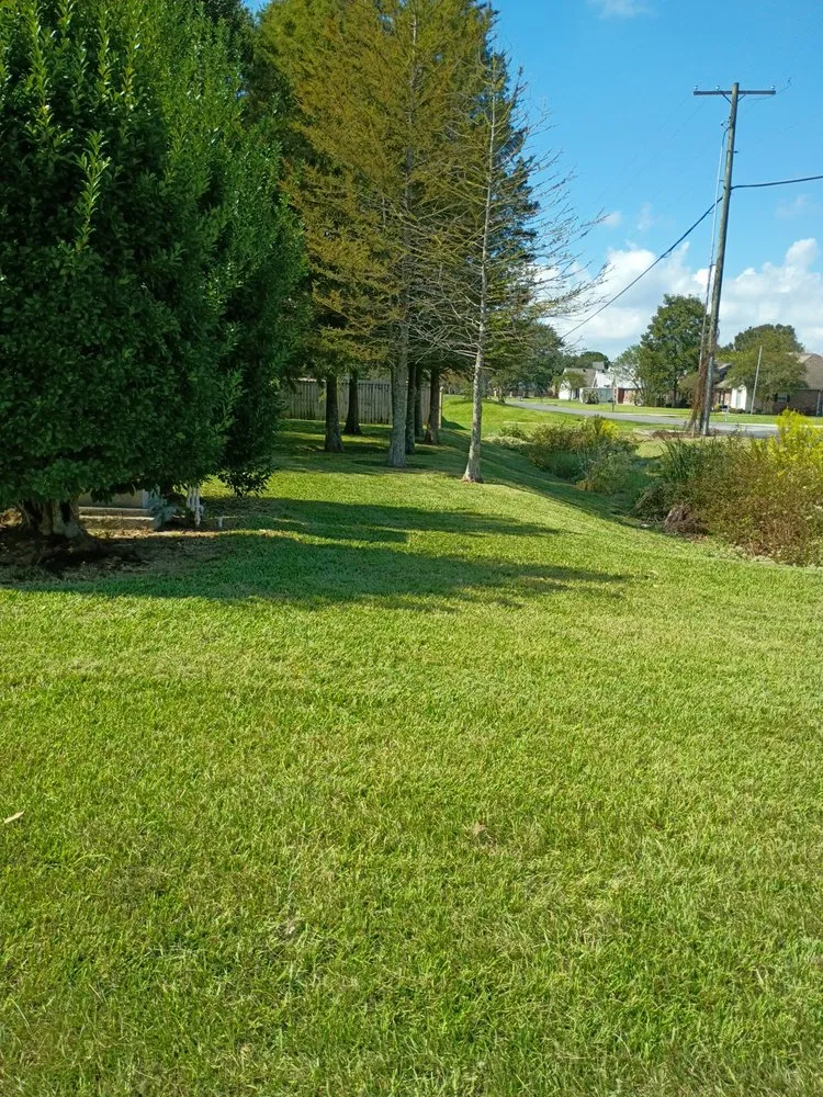 Reliable garden landscaping experts serving Saint Amant, LA - Painter Lawn Care Service