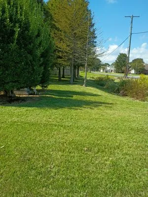 Painter Lawn Care Service Logo