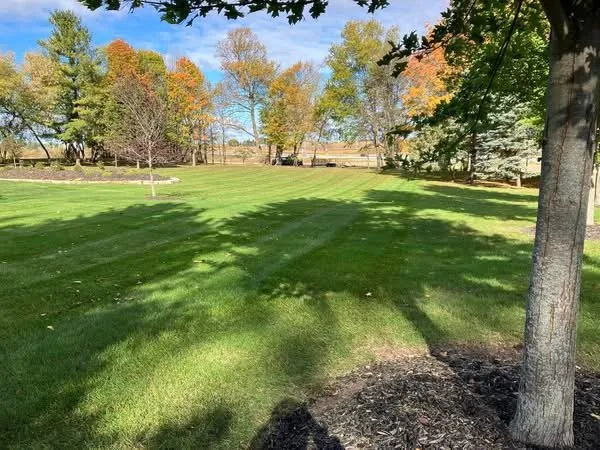 Professional yard cleanup service for outdoor upgrades across Oshkosh, WI - Painters Lawn and Landscape