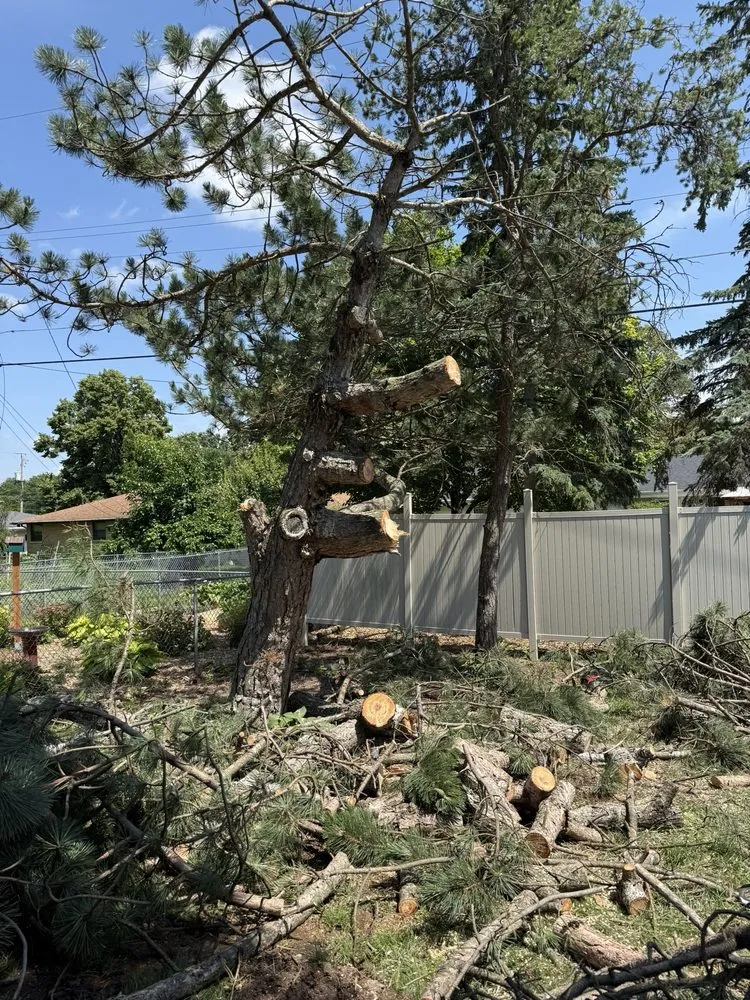 Affordable landscape design in Oshkosh, WI - Painters Lawn and Landscape