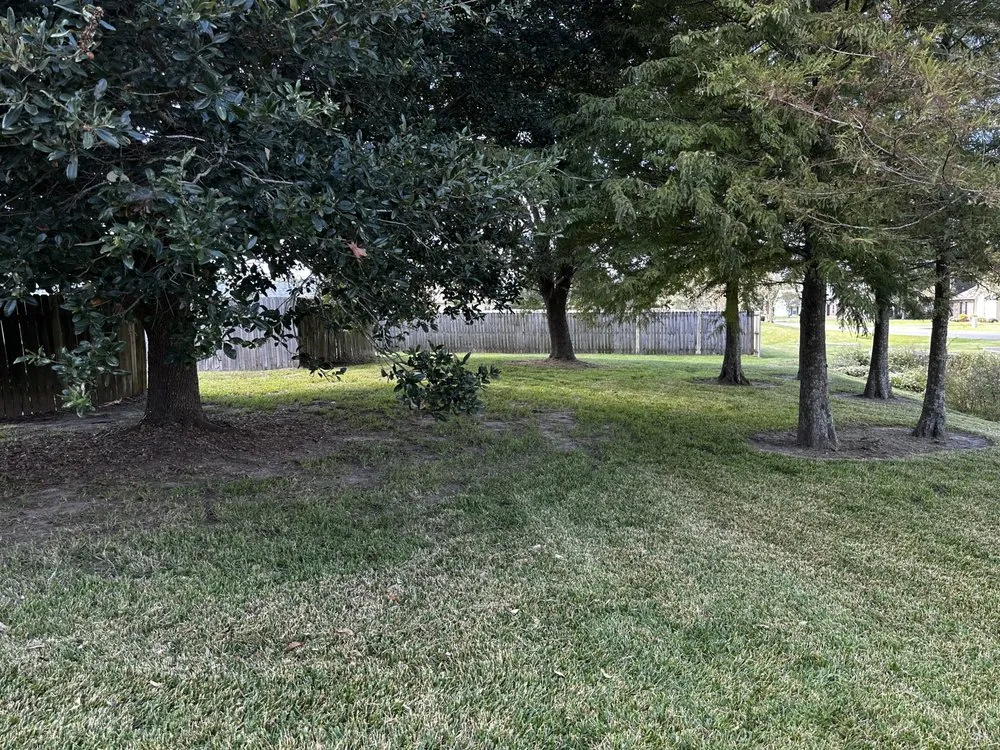 Custom garden landscaping in Prairieville, LA by Painter’s Lawn Care And Service