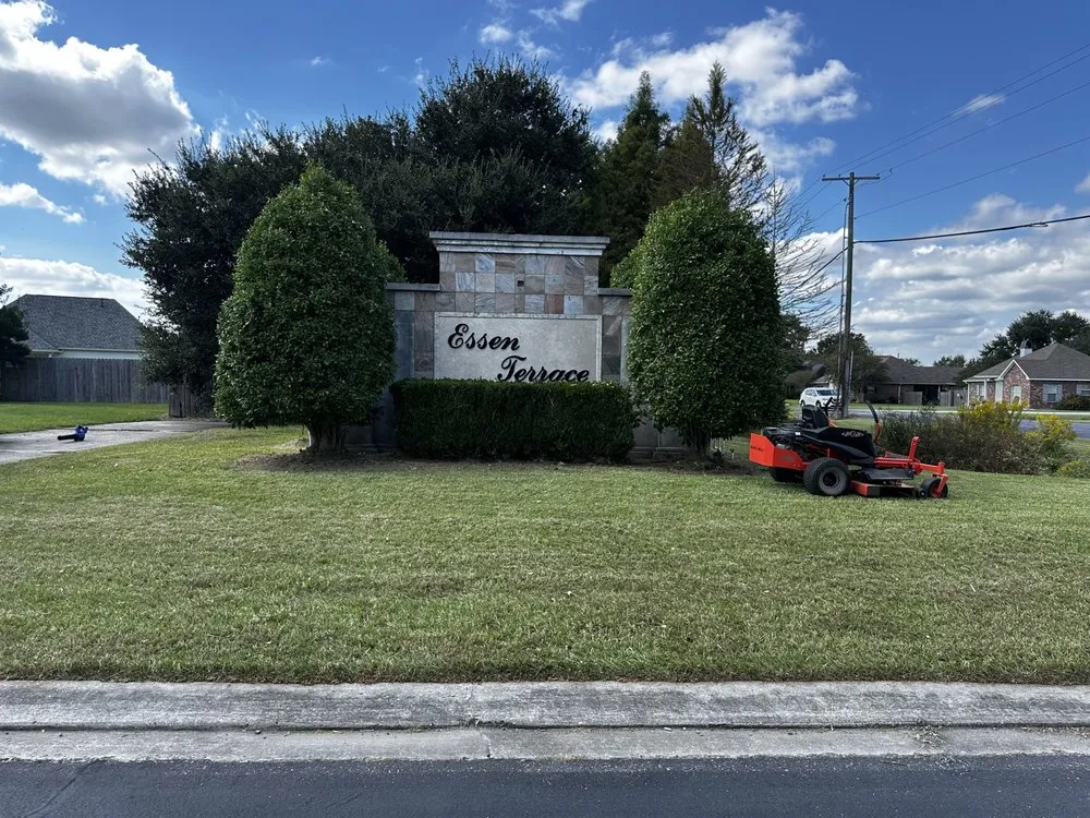 Professional landscape installation in Prairieville, LA - Painter’s Lawn Care And Service