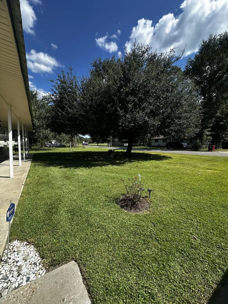 Expert yard maintenance for residential properties in Prairieville, LA by Painter’s Lawn Care And Service