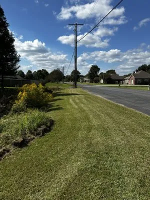 Painter’s Lawn Care And Service Logo