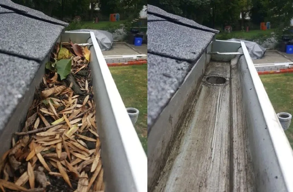 Trusted yard cleanup service experts serving Soddy-Daisy, TN - Painting With Pride