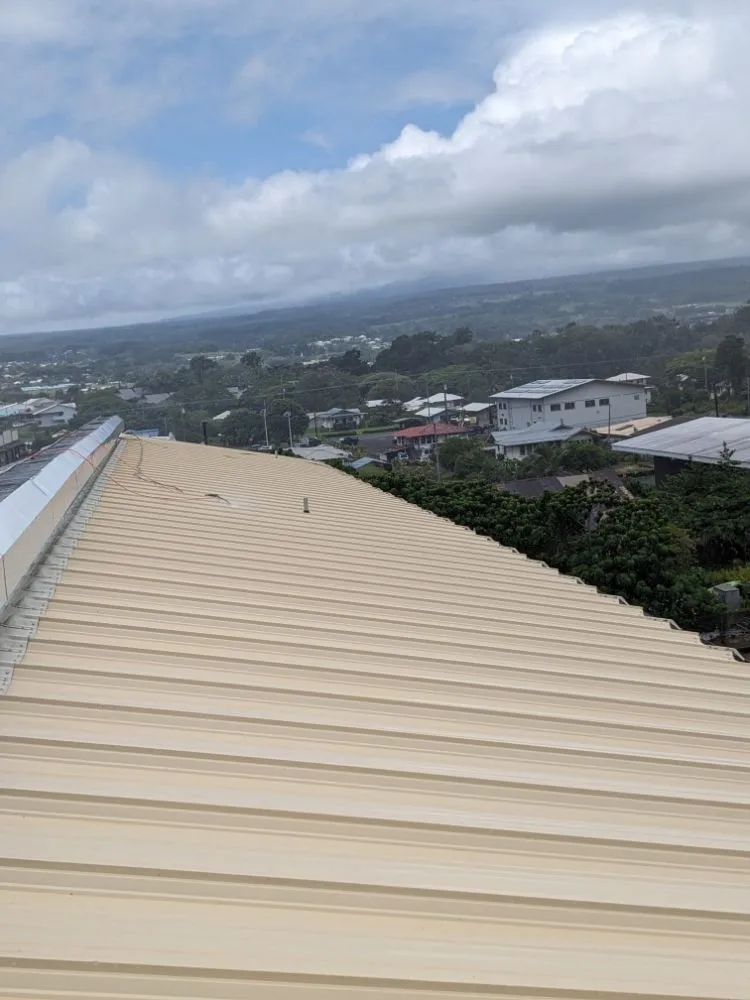 Trusted lawn mowing service with custom design across Hilo, HI - Pair Queens