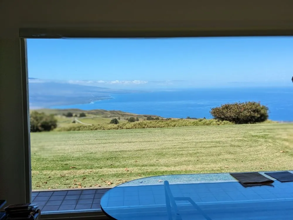 Professional landscaping services experts serving Hilo, HI - Pair Queens