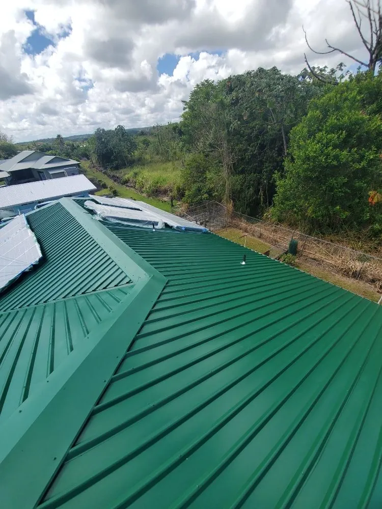 Reliable residential landscaping for residential properties in Hilo, HI by Pair Queens