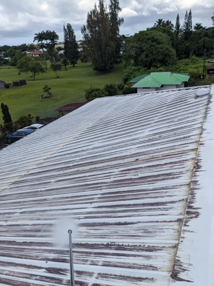 Top-rated landscaping services for outdoor upgrades in Hilo, HI by Pair Queens