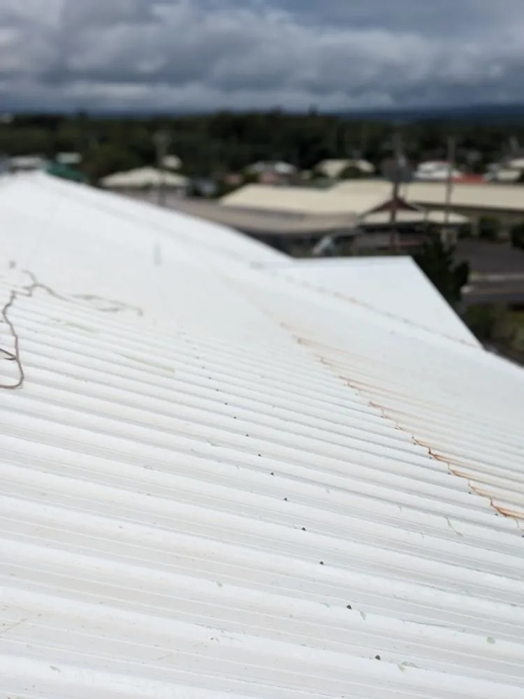 Local landscaping services for homes across Hilo, HI - Pair Queens