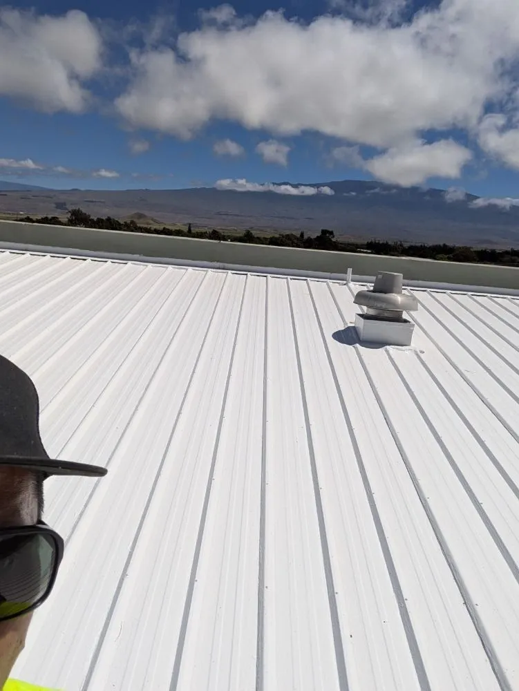 Reliable landscape design in Hilo, HI by Pair Queens