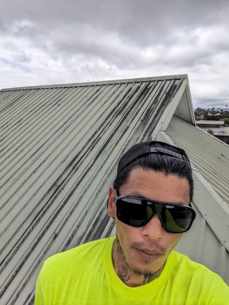 Top-rated landscape installation experts serving Hilo, HI - Pair Queens