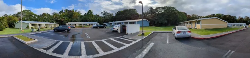 Affordable landscape installation in Hilo, HI - Pair Queens