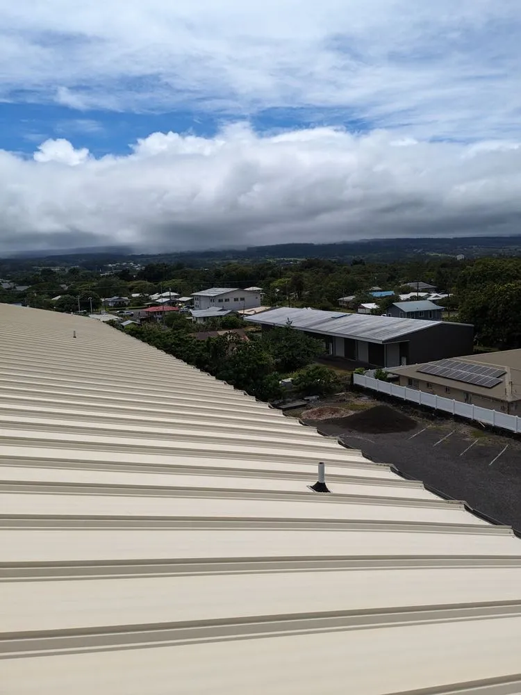 Top-rated landscape installation in Hilo, HI - Pair Queens