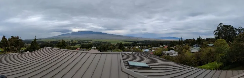 Affordable landscape design in Hilo, HI - Pair Queens