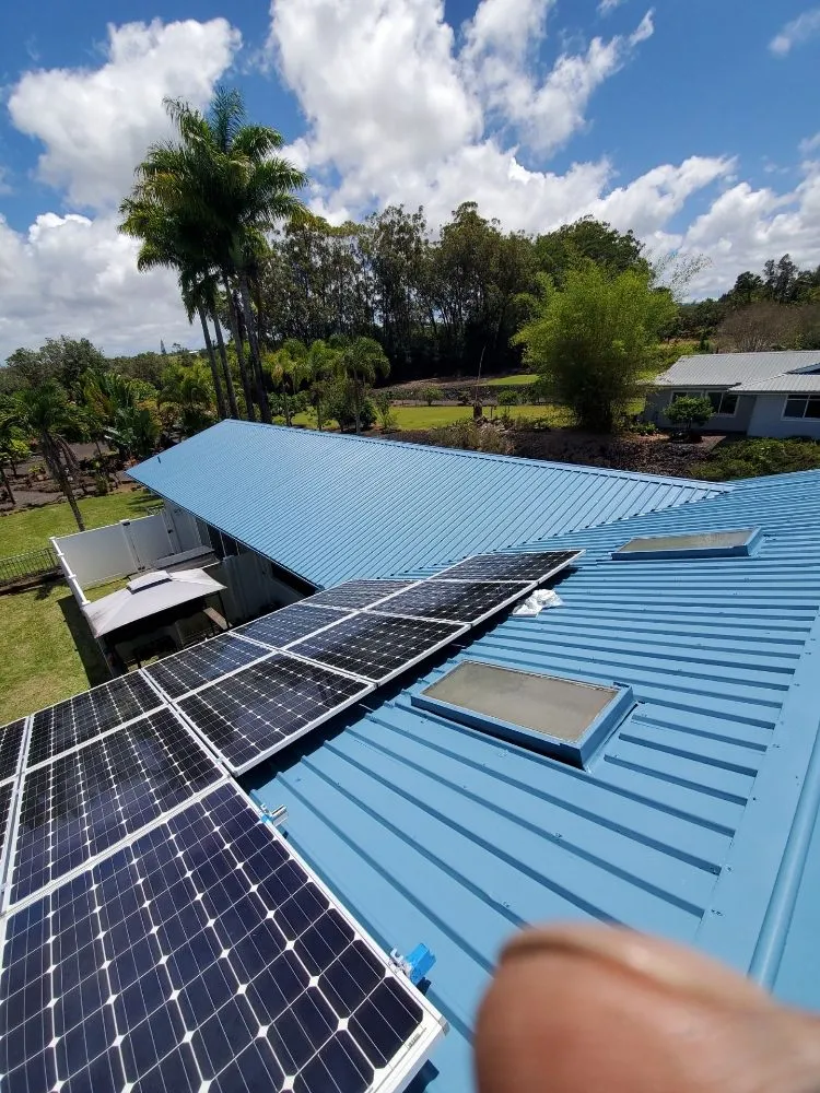 Professional landscaping services in Hilo, HI by Pair Queens