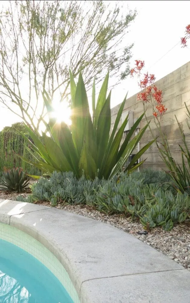 Expert outdoor landscaping experts serving Houston, TX - Pairadice Gardens