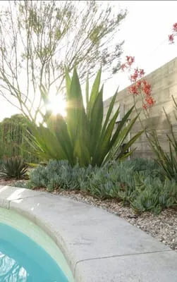 Pairadice Gardens Logo