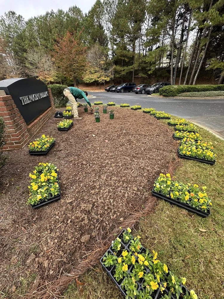 Professional yard cleanup service for year-round maintenance across Lilburn, GA - Paisajismo Joshua Landscaping