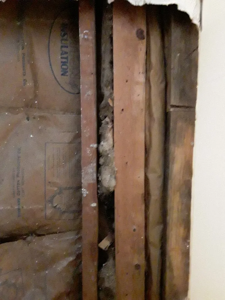 Expert garden landscaping experts serving Chapel Hill, NC - Paisant Enterprises